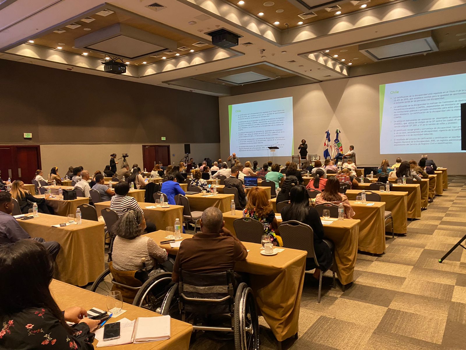 “Seminario Socialización del Sistema Nacional de Valoración, Certificación y Registro de Discapacidad y otras experiencias de la región Iberoamericana.”